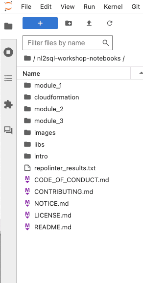 Jupyter Notebook 环境