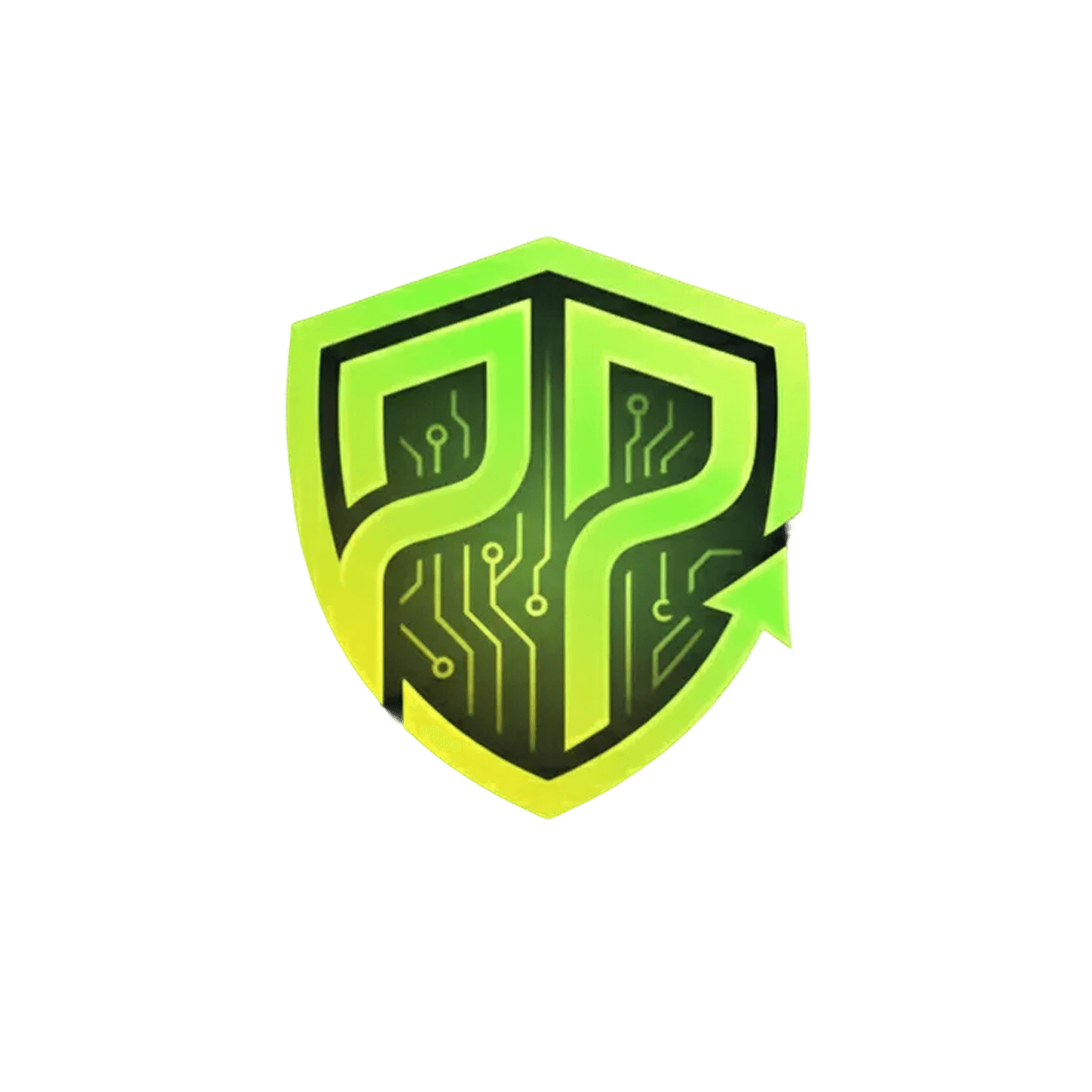 ProxyPal Logo