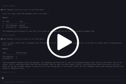 execute_sql_query 演示