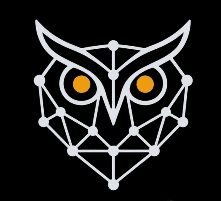RepoWise Logo
