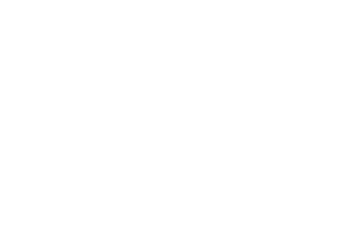 NVIDIA Jetson NanoLLM