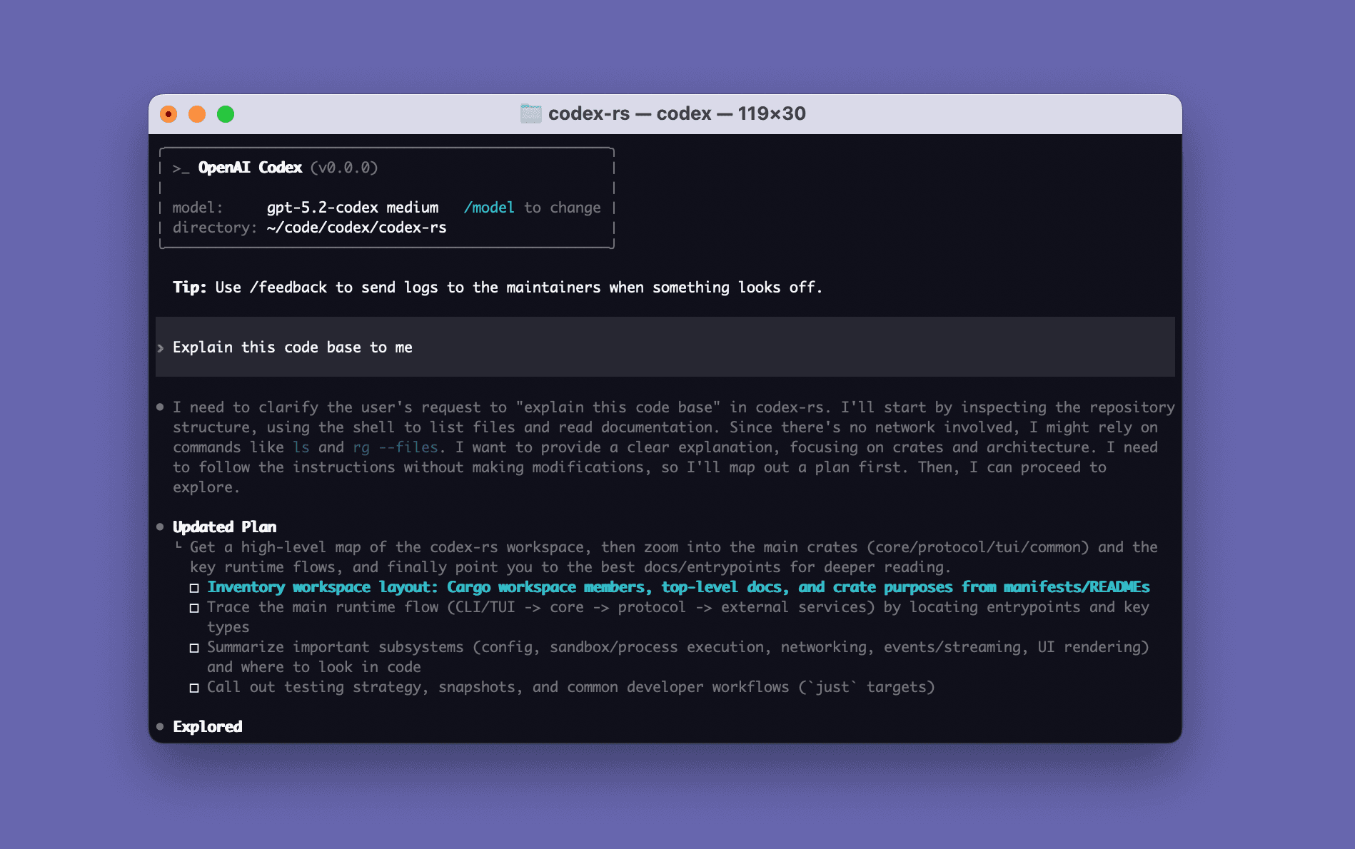 Codex CLI 启动界面