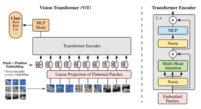 Vision Transformer架构图