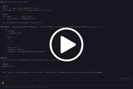 execute_sql_query 运行效果