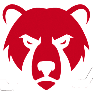 HexStrike Logo
