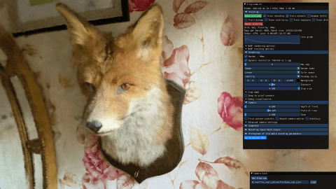 狐狸NeRF训练效果