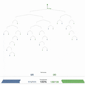 A Visual Introduction to Machine Learning