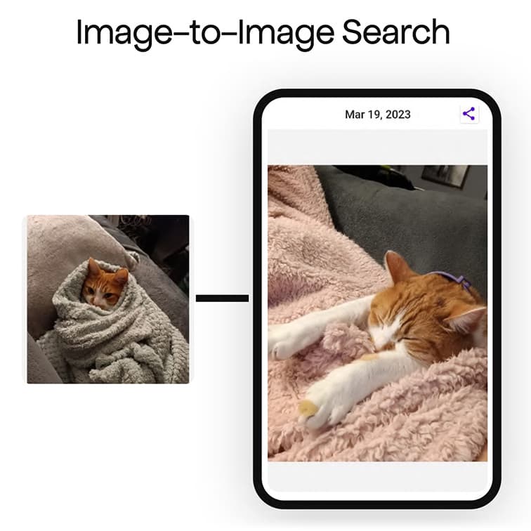 Image-to-Image 搜索界面