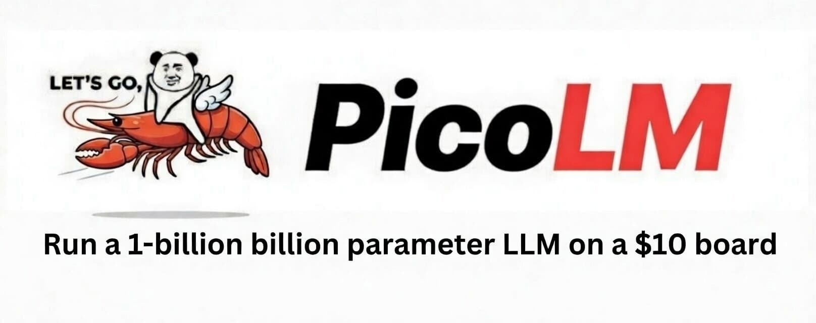 PicoLM 运行效果