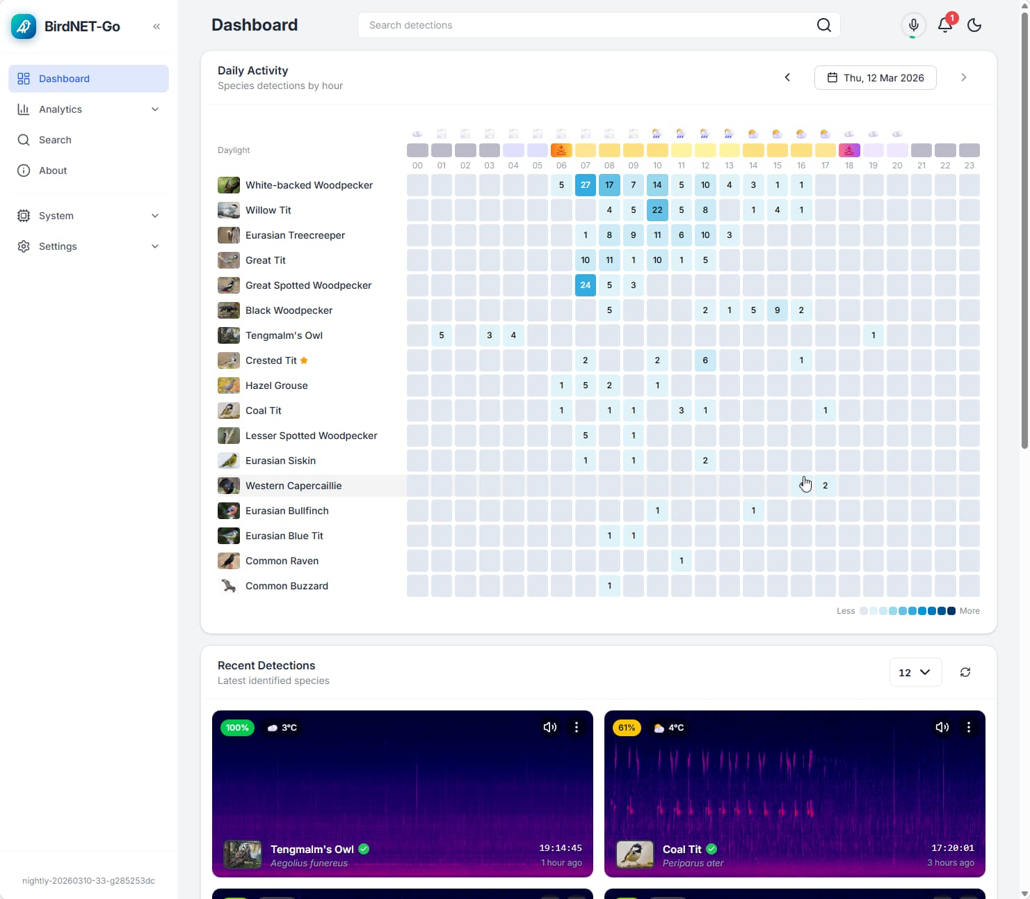 BirdNET-Go Dashboard