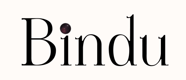Bindu Overview