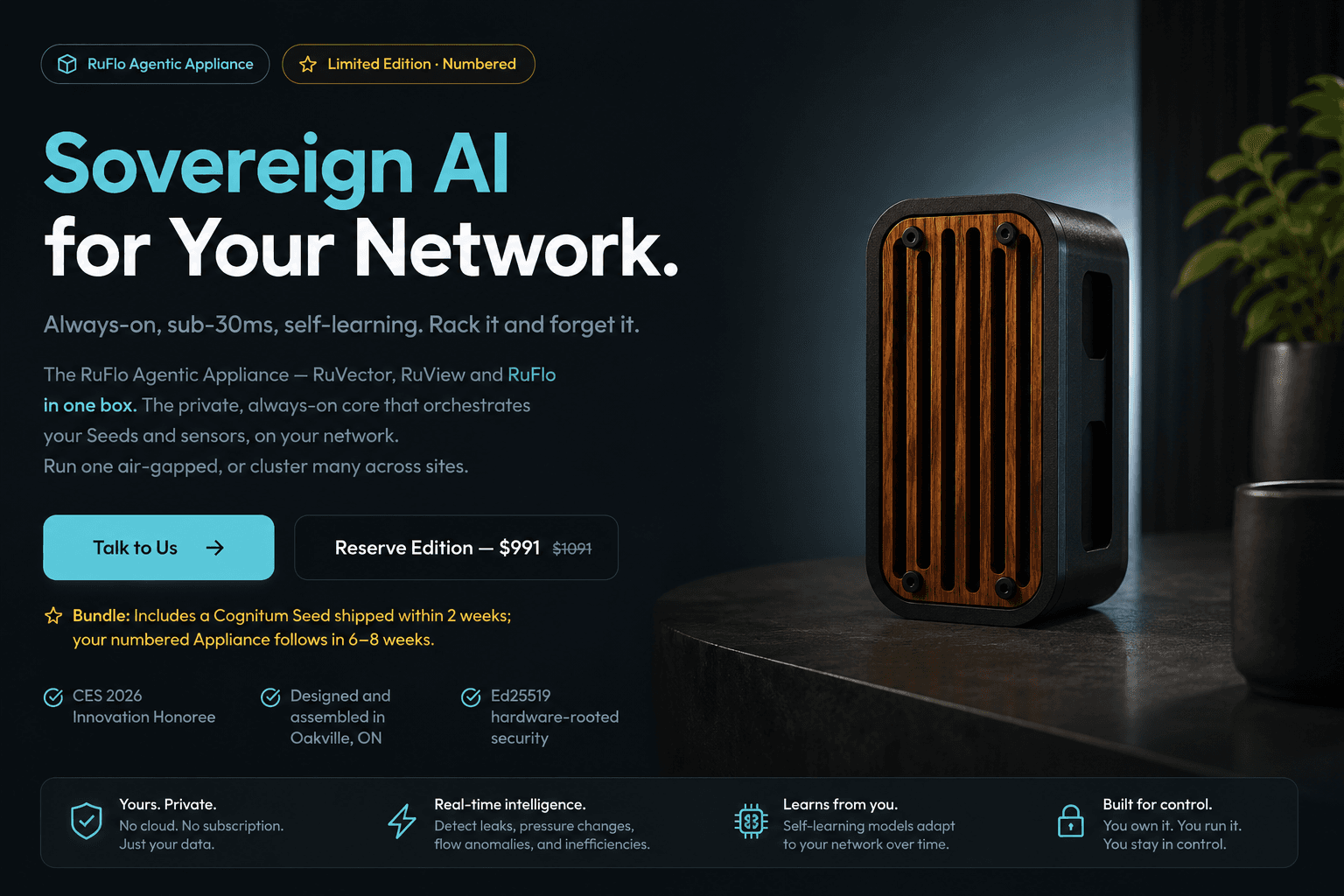 RuFlo Agentic Appliance