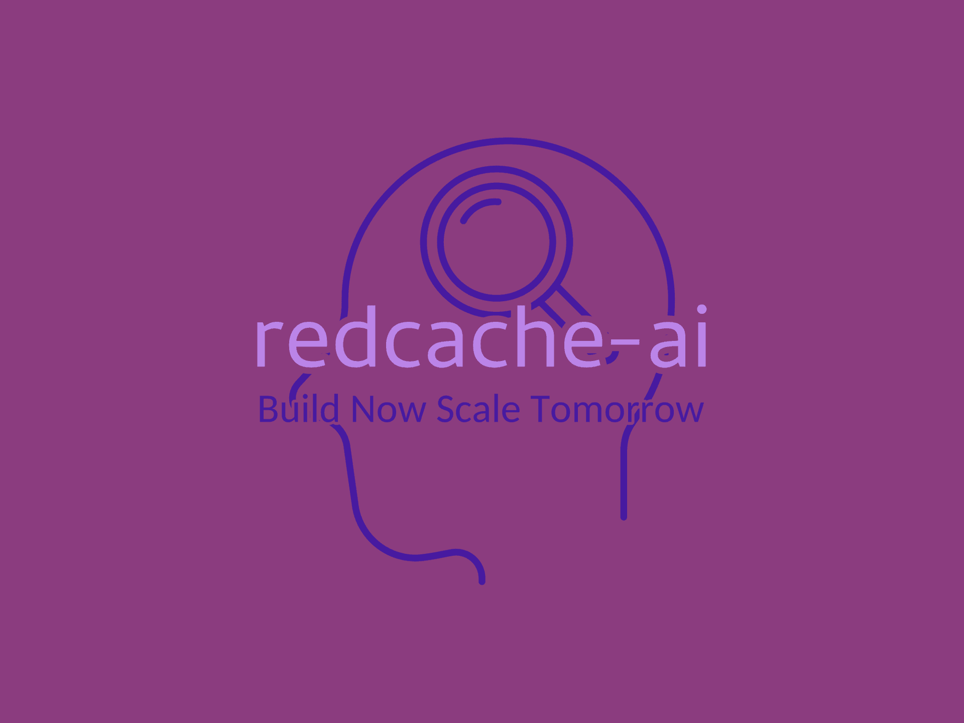 RedCache-AI 项目截图
