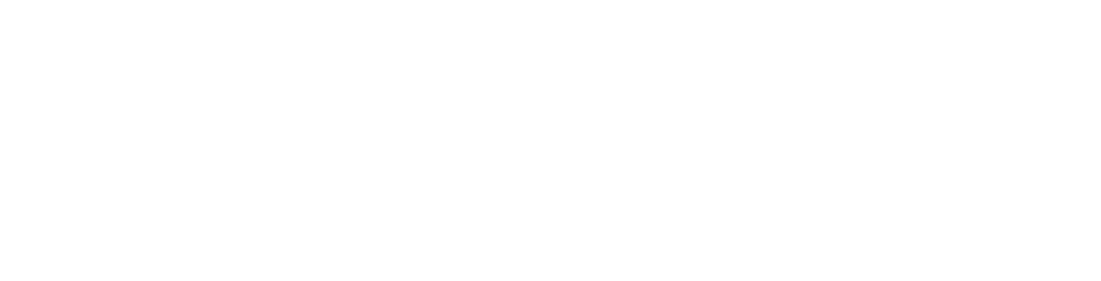 exxperts Logo(暗色主题)