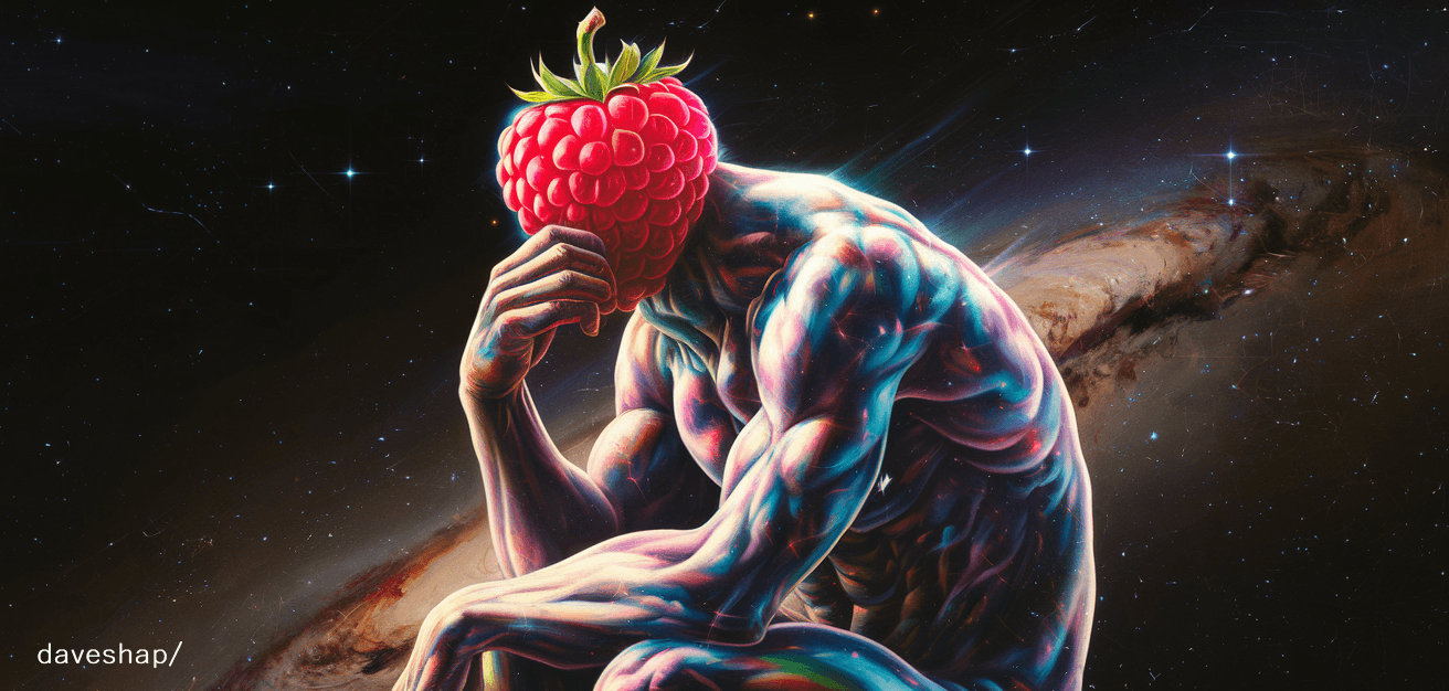 Raspberry 项目主视觉