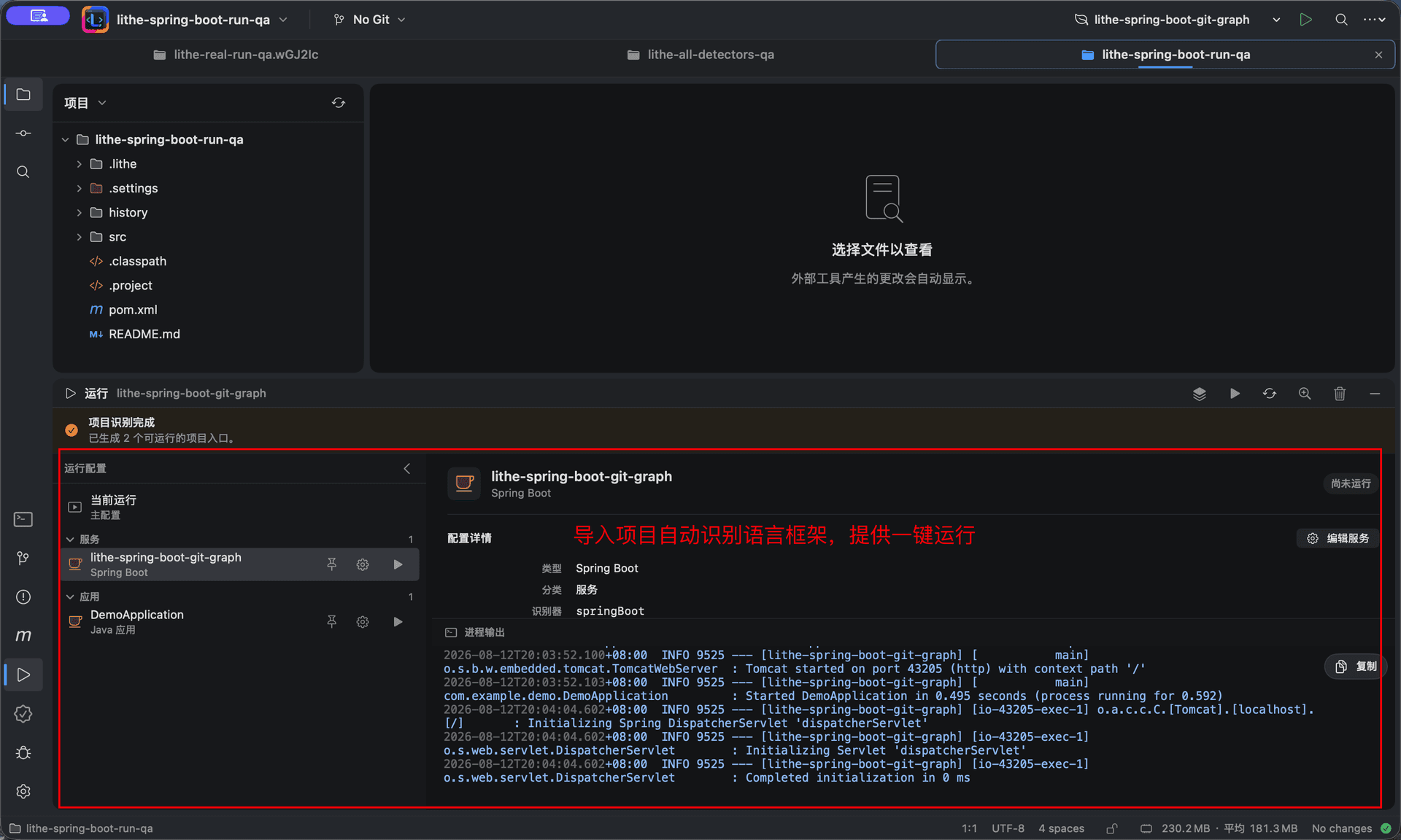 项目自动检测与运行