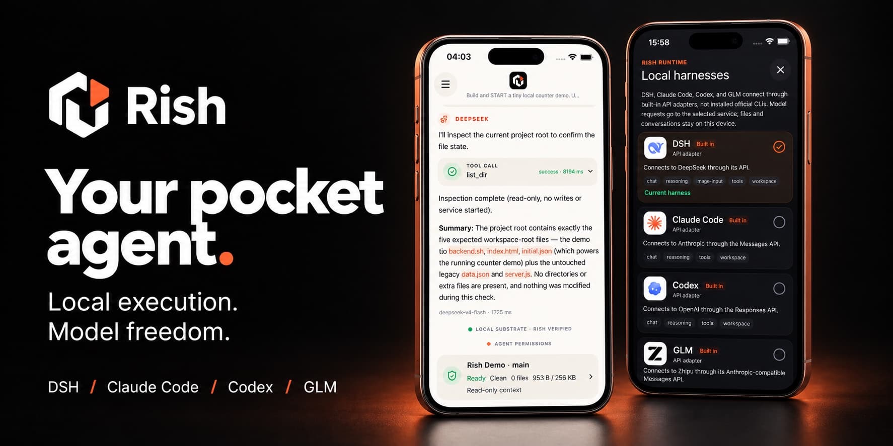 Rish — your pocket agent. Local execution. Model freedom.