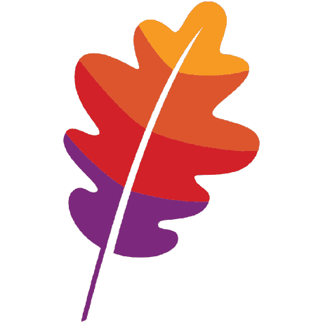 Apache 基金会 Logo