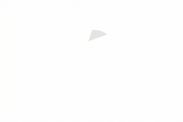 Focus logo 动画效果